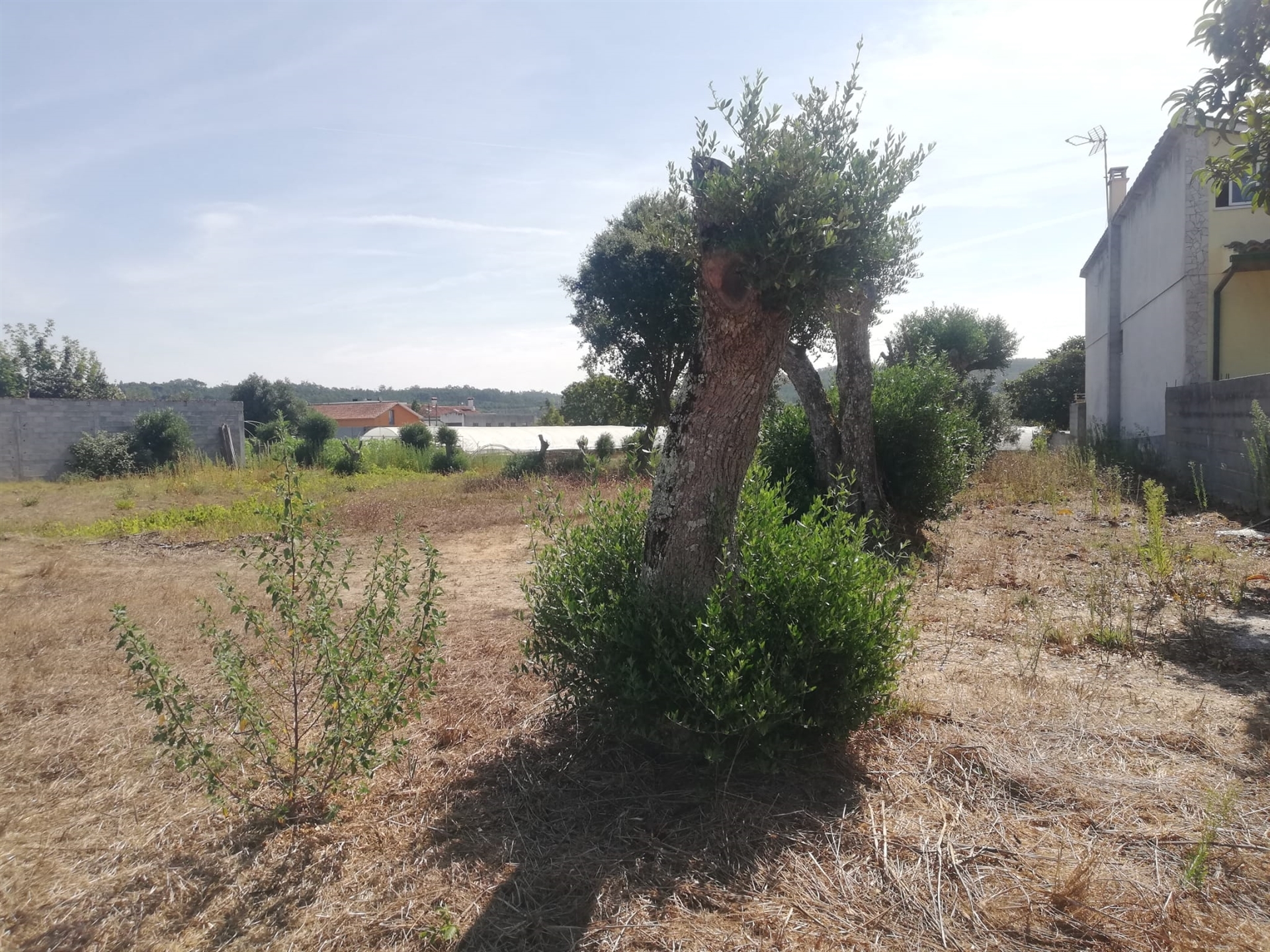 Piece of Real Estate