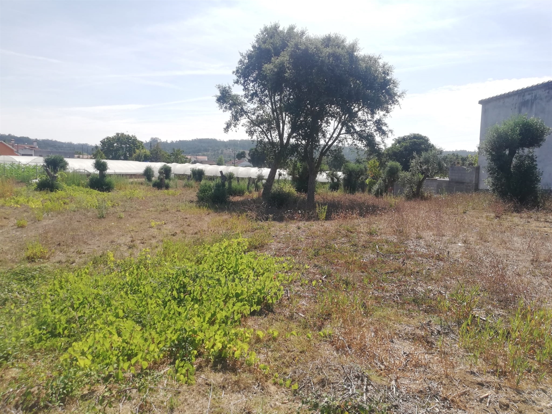 Piece of Real Estate