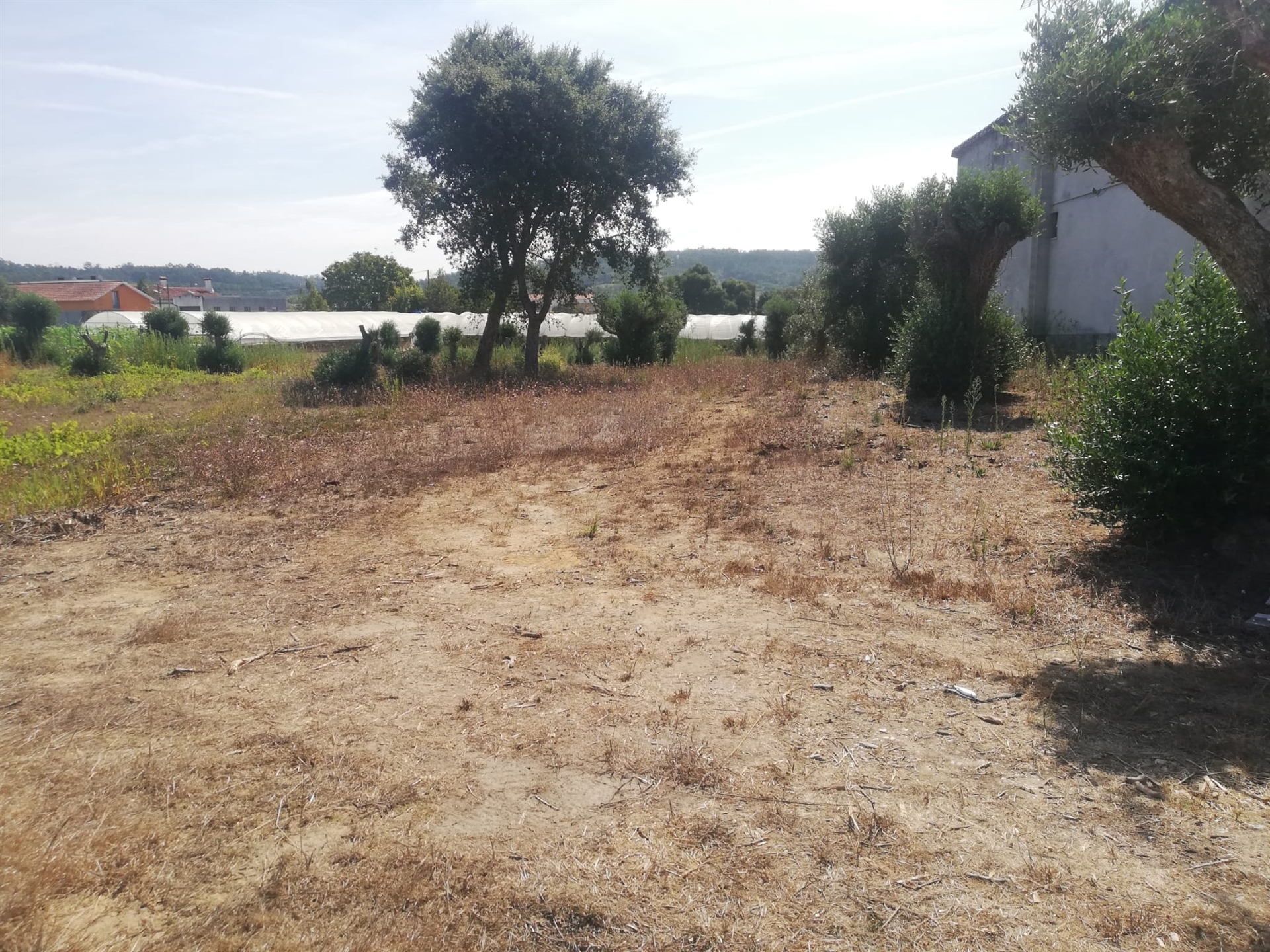 Piece of Real Estate